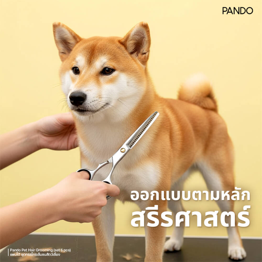ชุดกรรไกรตัดเล็บและขนสัตว์เลี้ยง PANDO ชุด 5 ชิ้น